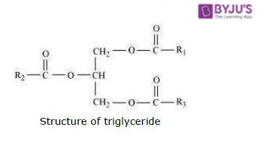 What Is The Basic Molecular Structure Of Lipids | Sitelip.org