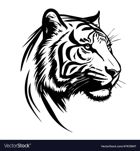 Tiger silhouette Royalty Free Vector Image - VectorStock