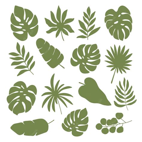 Tropical Plants PNG, Vector, PSD, and Clipart With Transparent - Clip ...