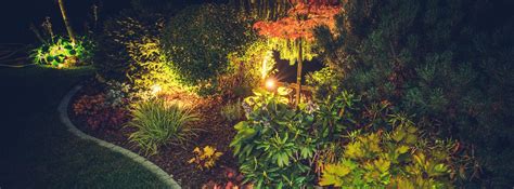 LED Lights In Gardens | Serenity Outdoor Lighting