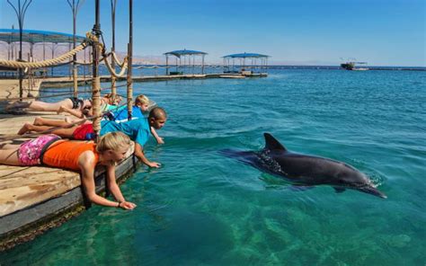 Dolphin Reef Beach / Red Sea / Israel // World Beach Guide