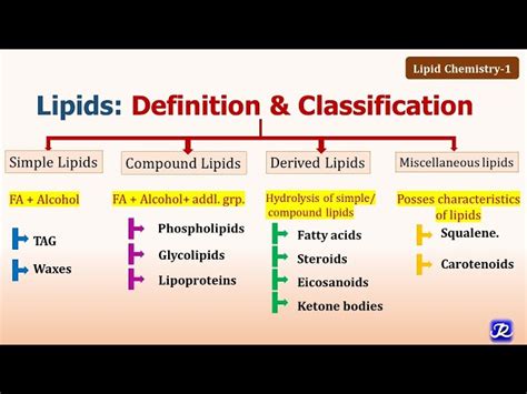 What Are The Example Of Simple Lipids | Sitelip.org