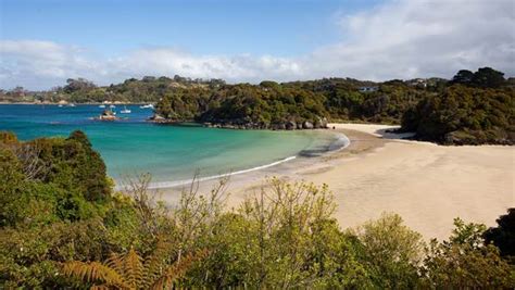 Discover Stewart Island | Rakiura National Park | RealNZ