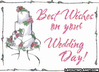 Wedding GIF - Find & Share on GIPHY