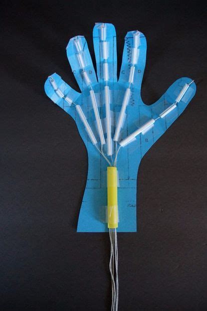 Robotic Hand Science Project | Science experiments kids, Science projects, Science fair projects