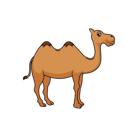 How to Draw A Camel Step by Step