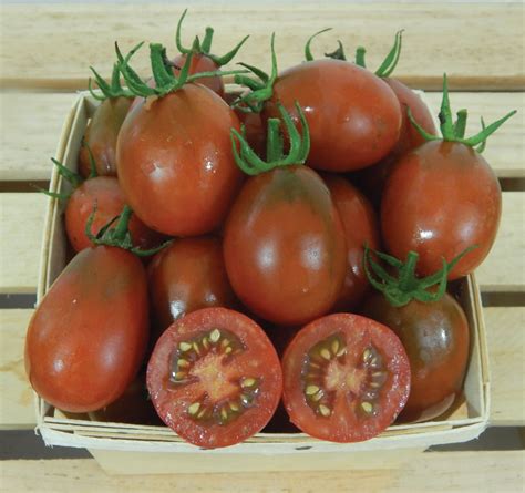 Black Plum, Tomato Seeds | Urban Farmer