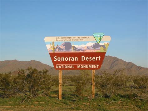 AZ Camp Guide | Sonoran Desert National Monument