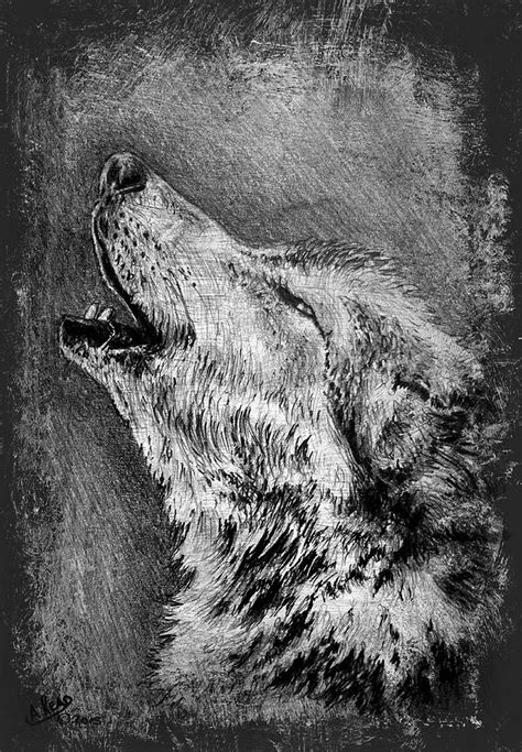 Black And White Wolf Howling Drawings