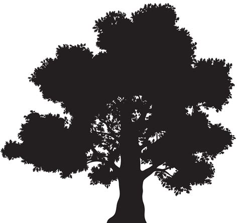 Oak Tree Drawing Clip art - silhouettes clipart png download - 8000*7536 - Free Transparent Oak ...