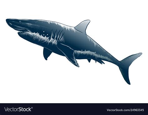 Drawing shark in black color isolated Royalty Free Vector