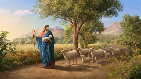 Amazing Lessons In The Parable Of The Lost Sheep, 47% OFF