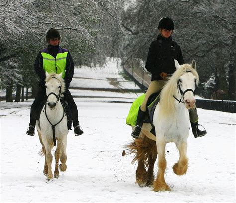 Tips for Horseback Riding Safely and Comfortably in Winter