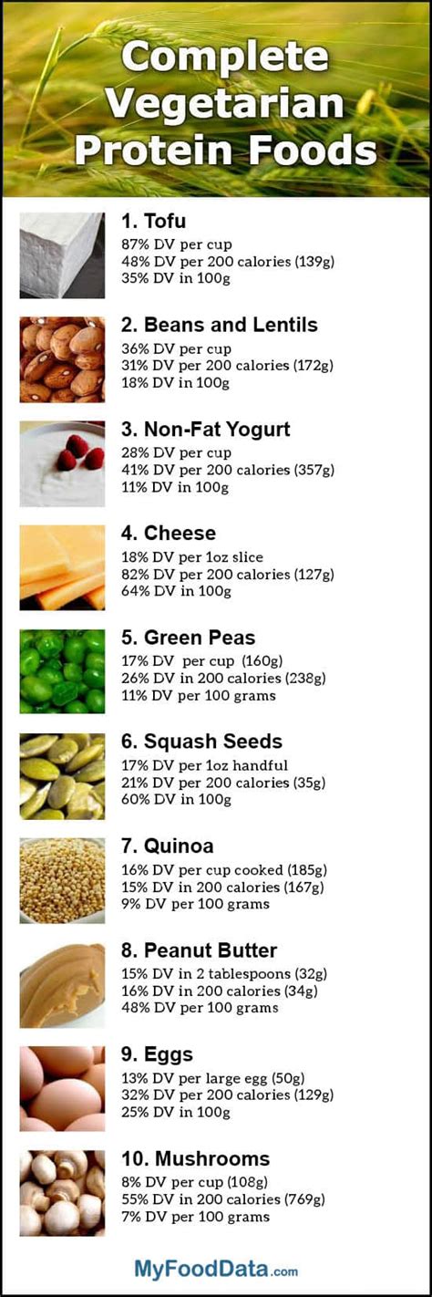 20 Ideas for Vegetarian Protein Rich Foods – Best Diet and Healthy ...