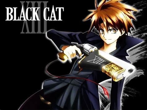 Black Cat Anime Wallpapers - Wallpaper Cave