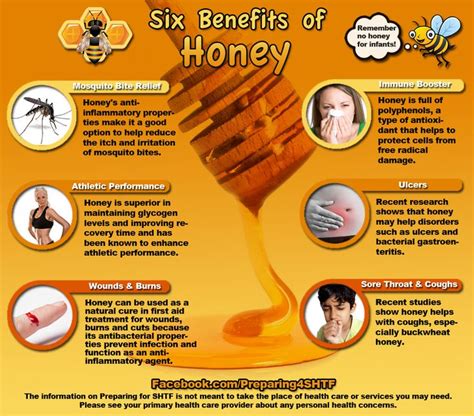 Six Benefits of Honey Infographic - Preparing for shtf | Honey benefits ...