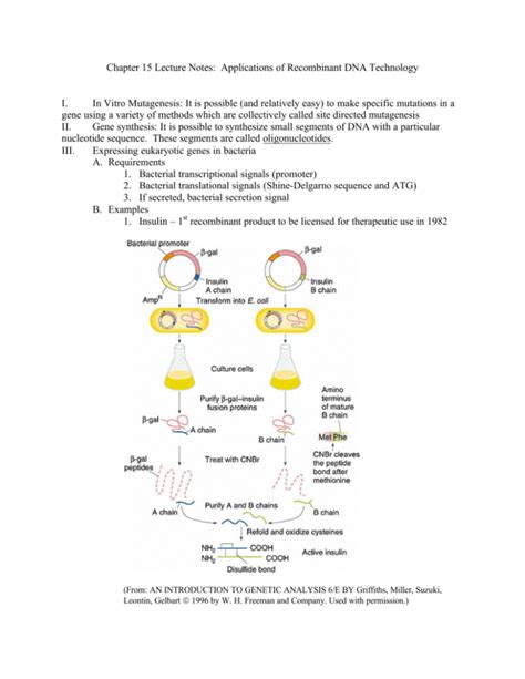 Chapter 15 Lecture Notes: Applications of Recombinant DNA