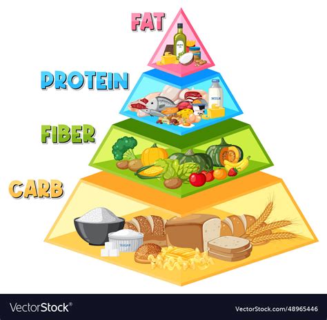 Cartoon food pyramid infographic a nutritional Vector Image