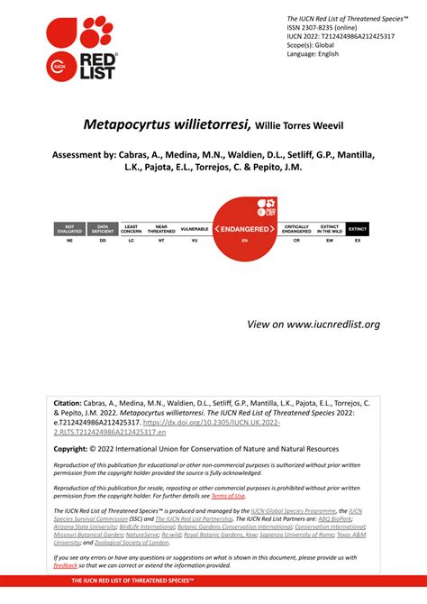 (PDF) Metapocyrtus willietorresi, Willie Torres Weevil THE IUCN RED ...