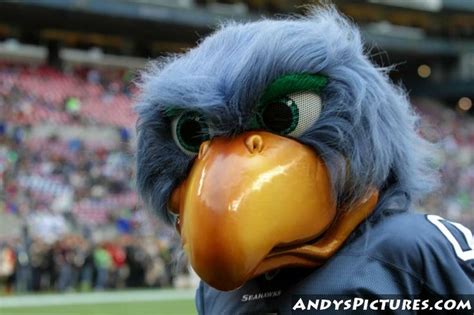 seattle seahawks mascot - Google Search | Seahawks mascot, Seattle ...