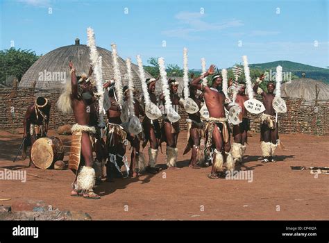 South Africa - KwaZulu-Natal - Traditional Dance "Ngoma" in a Zulu village ' Stock Photo - Alamy