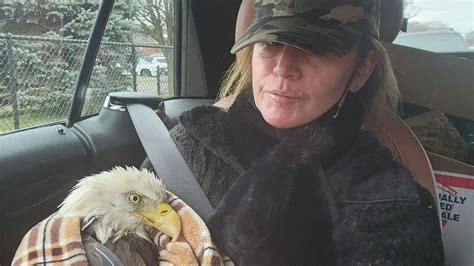 Bald eagle 'Dad' dies after being plucked out of Centerport pond - Newsday