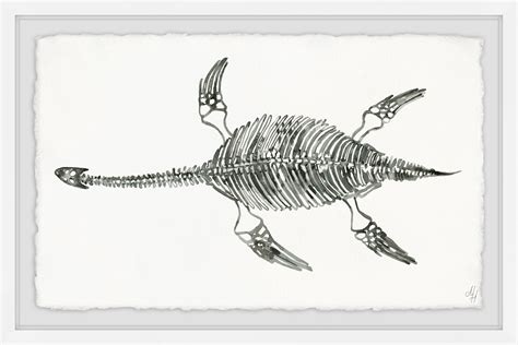 Marmont Hill Elasmosaurus Skeleton Framed Wall Art - Walmart.com - Walmart.com