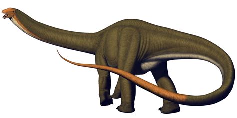 Apatosaurus louisae | Land Before Time Wiki | FANDOM powered by Wikia