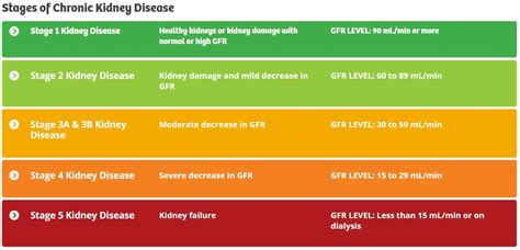 normal creatinine kidney function numbers What level should your kidney function be