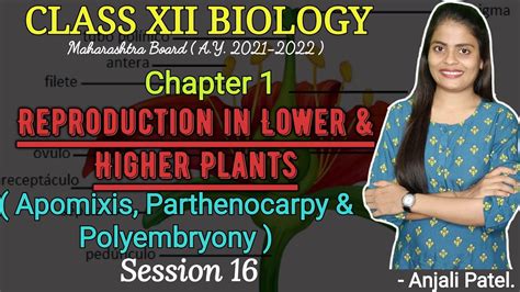 Class XII Biology - Reproduction in lower and higher plants - Apomixis ...