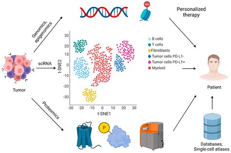 Cancers | Free Full-Text | Single-Cell Sequencing: Current Applications in Precision Onco ...