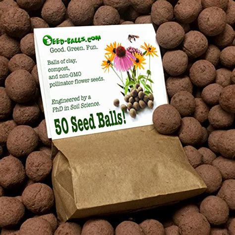 How to Make Seed Bombs for Kids - Easy DIY Seed Bombs Recipe - Natural Beach Living