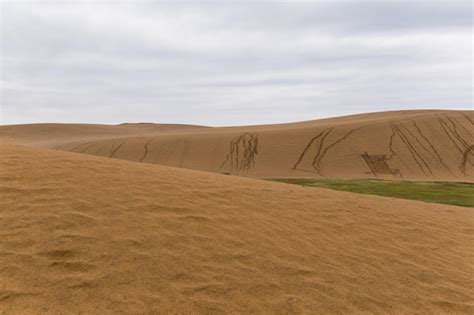 Premium Photo | Tottori sand dunes in japan