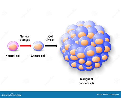 Cancer And Normal Cells Stock Image | CartoonDealer.com #18156703