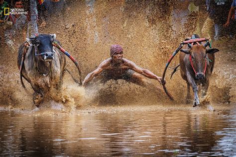 15 Amazing Photos From The 2016 National Geographic Nature Photographer of the Year Contest ...