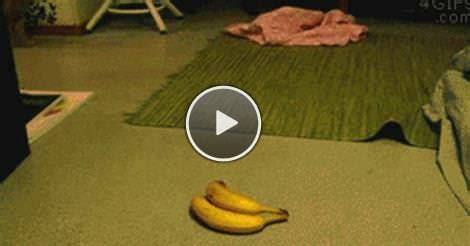 scary banana | Gifs