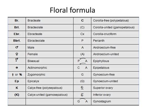 Floral formula and floral diagram | PPT