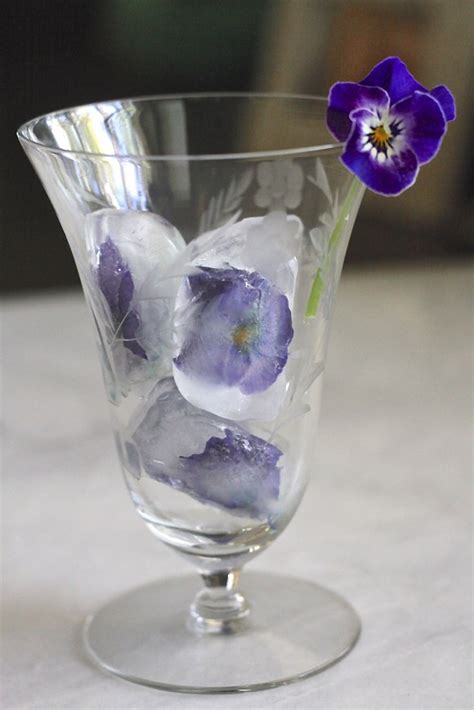 Edible Flower Ice Cubes - Wenderly