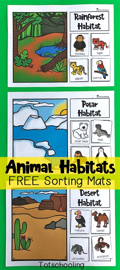 Habitat Lessons For Kindergarten