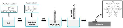 Coatings | Free Full-Text | Surface Modifications for Implants Lifetime ...