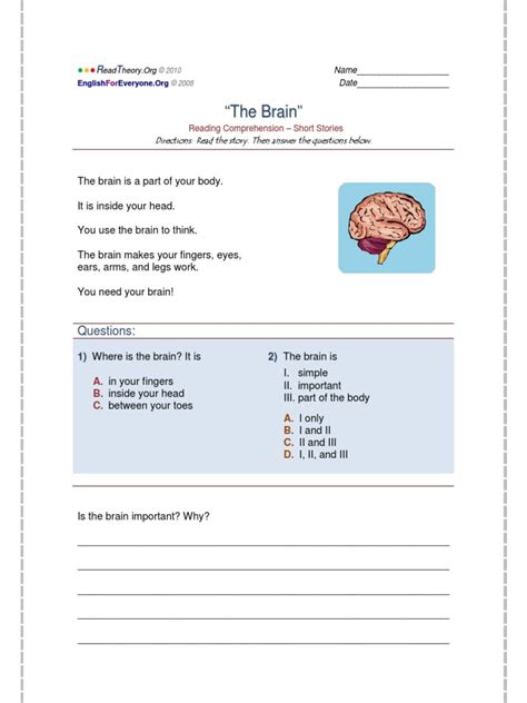 The Brain | PDF | Neuroscience