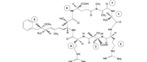 Chemical structure of Microcystin-RR showing the two variable amino ...