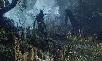 Witcher 3: Leshen - Orcz.com, The Video Games Wiki