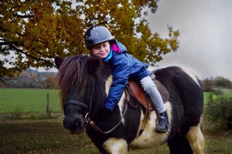 Benefits of horse riding survey results from Shetland Pony Club, UK