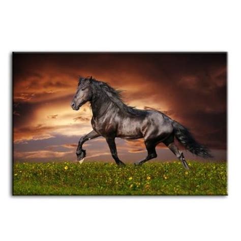 Shop Black Friesian Horse 1-Panel Canvas Wall Art – canvasx.net