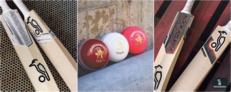 Top 15 Best Cricket Bat Brands (SG, Kookaburra, MRF + More)