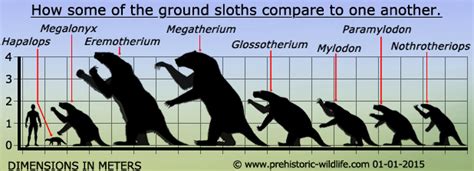 Блогът на valentint :: Encyclopedia Largest prehistoric animals Vol. 1 Vertebrates part1 Mammals ...