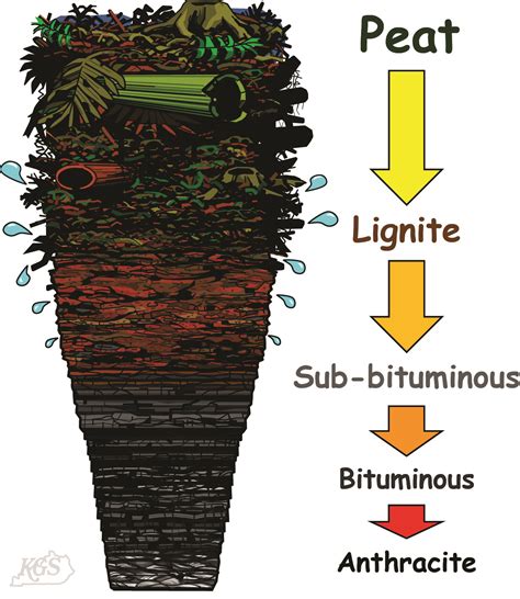 Coal Diagrams for download, Kentucky Geological Survey, University of ...