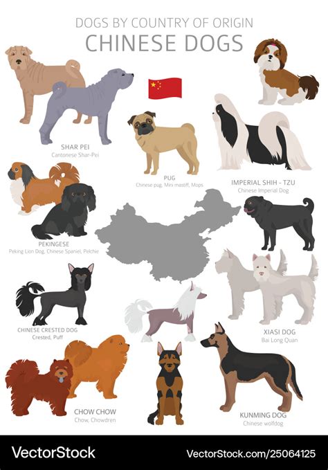 Dogs country origin chinese dog breeds Royalty Free Vector