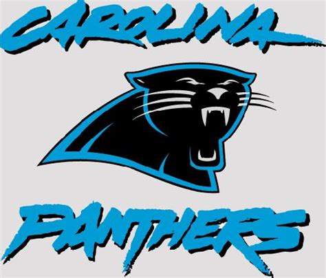 Carolina Panthers Team History